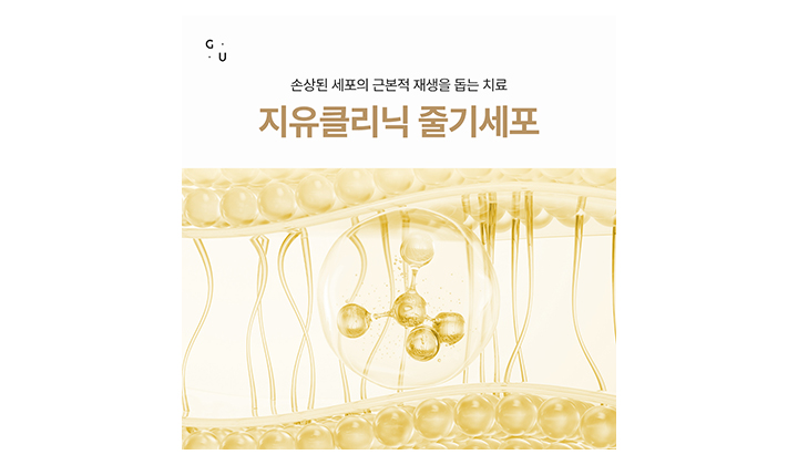 예전과 다른 컨디션을 바꾸는 치료, 강남역 줄기세포정맥주사