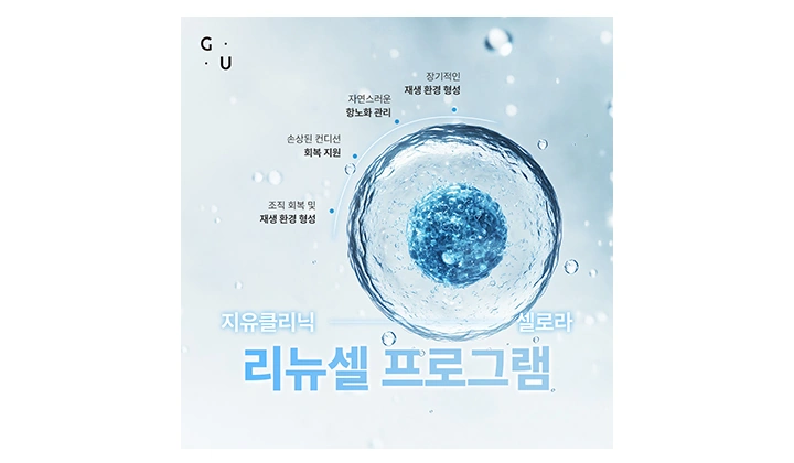 천천히 나이드는 방법, 줄기세포는 어떤 역할을 할까요?